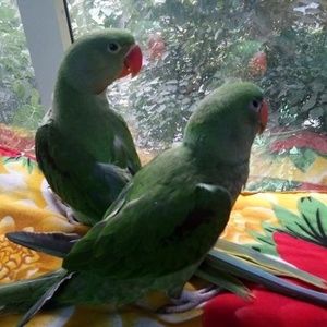 Meet your Posher, Rita